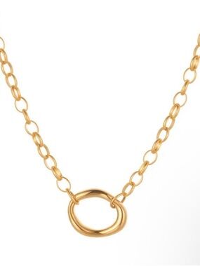 Gold Link Necklace with Polished Circle Pendant - Women